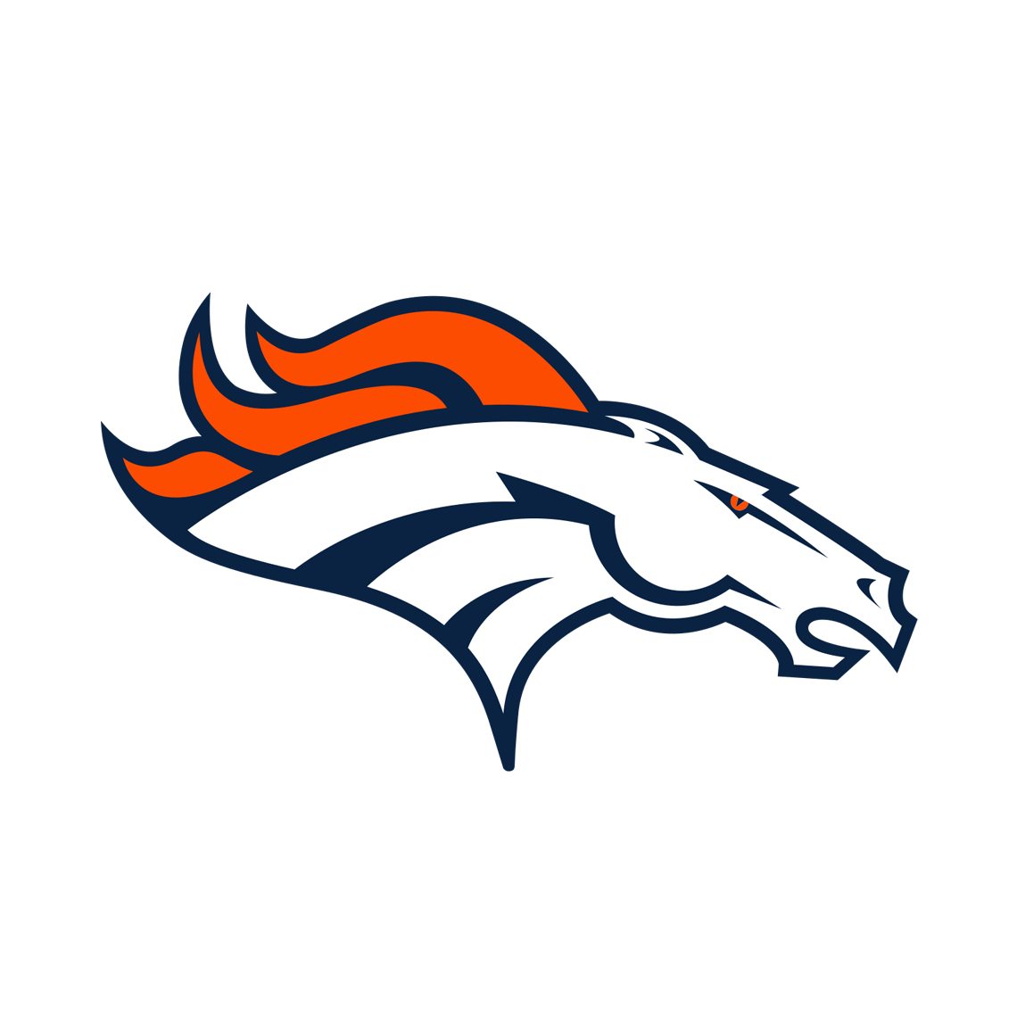 Denver Broncos